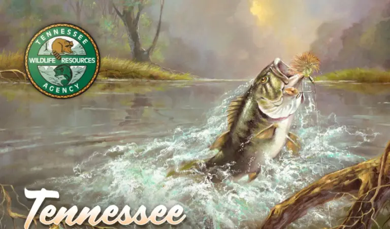 How to Get a Fishing License in Tennessee