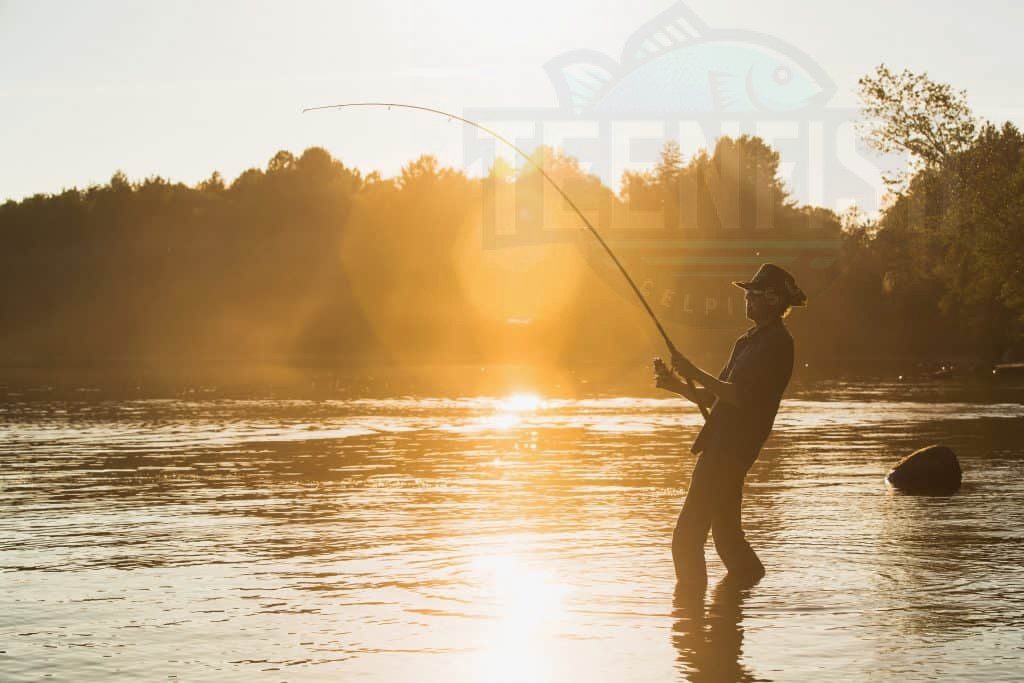 Louisiana Fishing Go