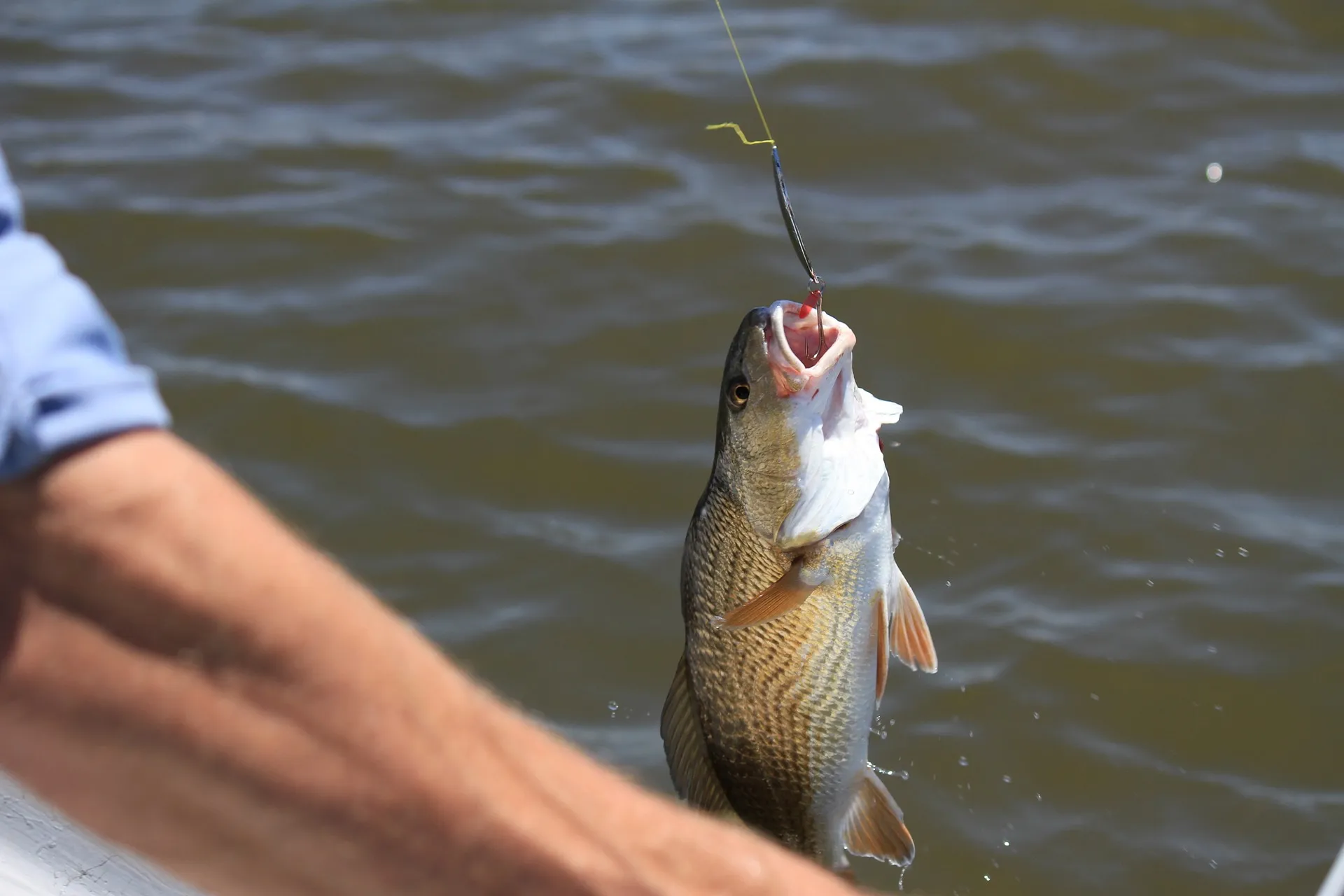 Saltwater Fishing License in Florida