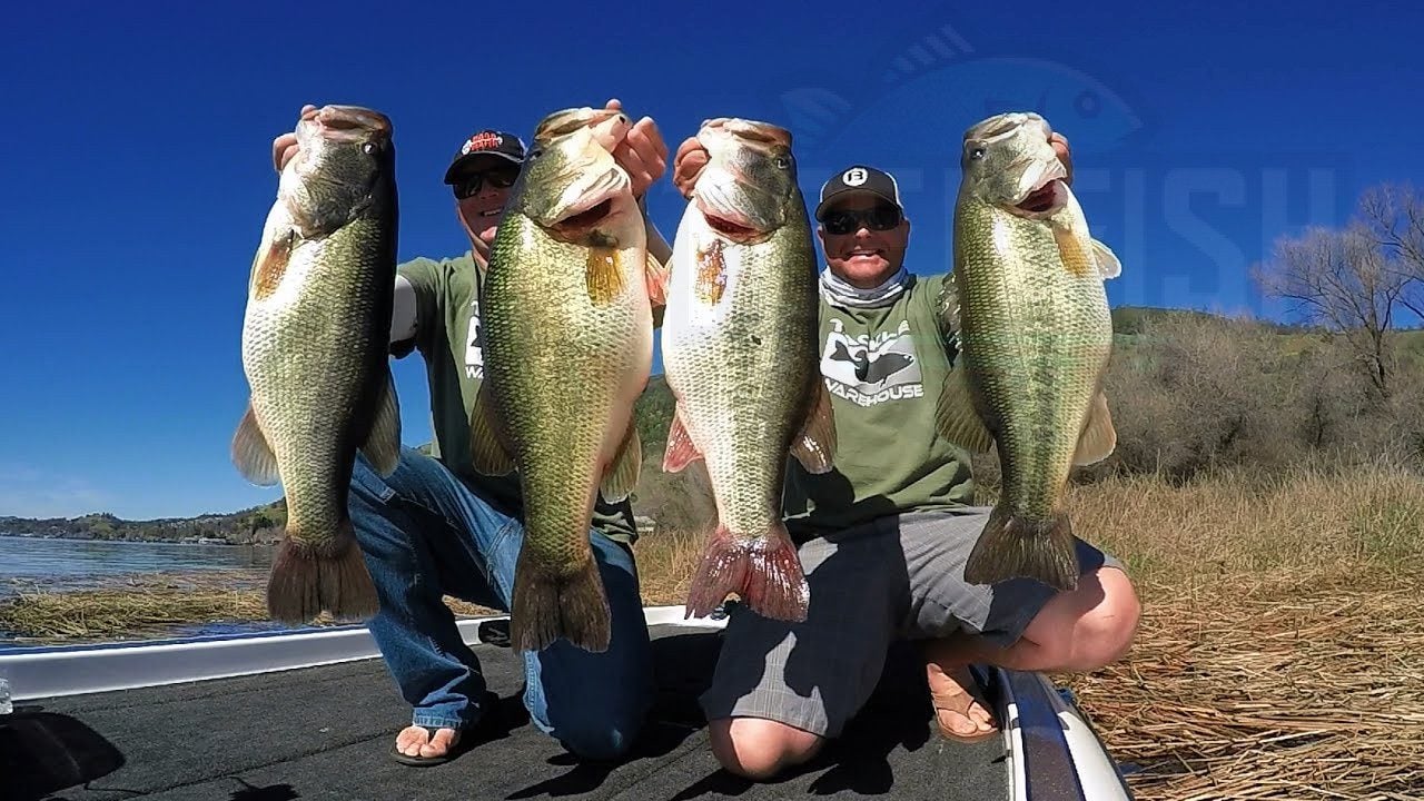 Alabama's Fishing