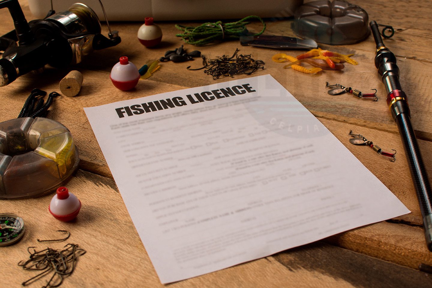 Fishing License Exemptions and Exceptions in Delaware