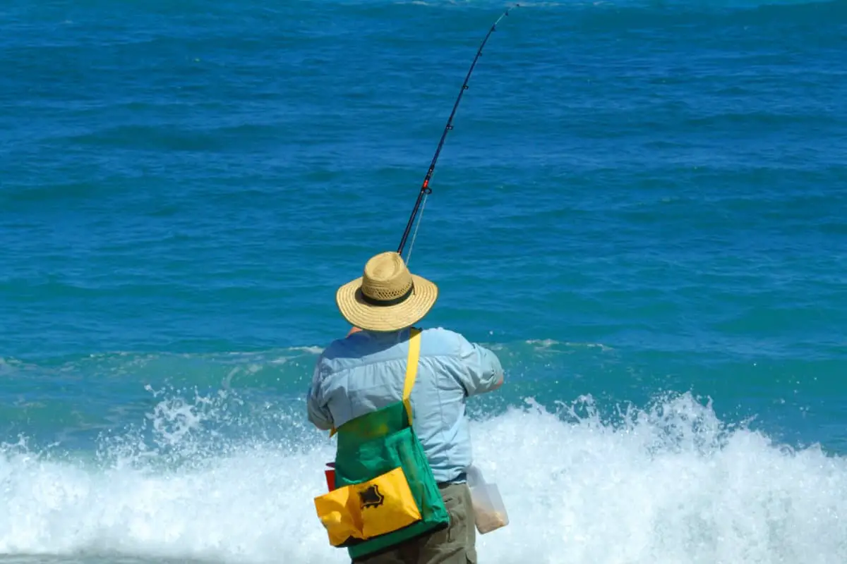 Florida Fishing License Fees and Where the Money Goes