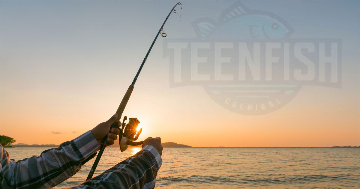 Louisiana Fishing License Renewal