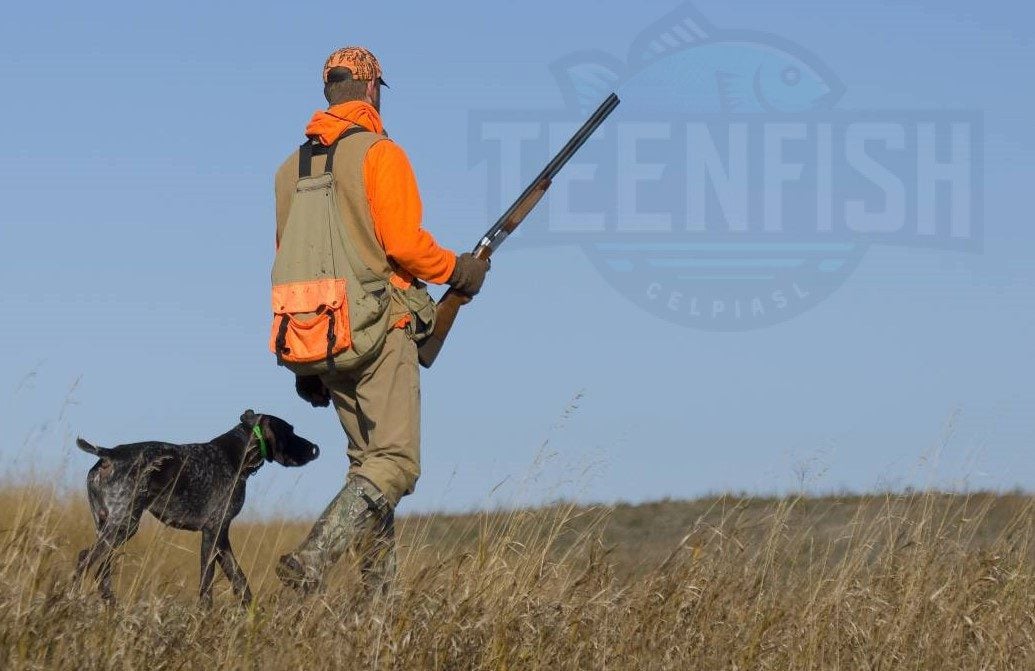 New Hampshire Lifetime Hunting Licenses