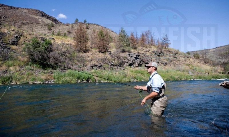 Oregon Non Resident 3 Day Fishing License