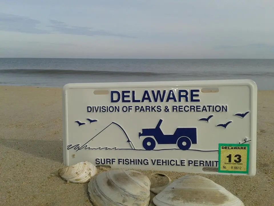 Types of Delaware Fishing Licenses