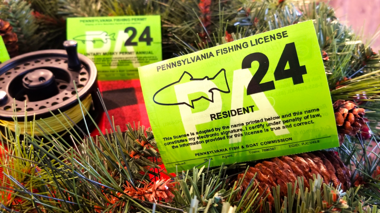 Walmart Fishing License PA