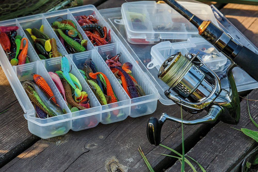 Bait and Lure Selection for Beginners
