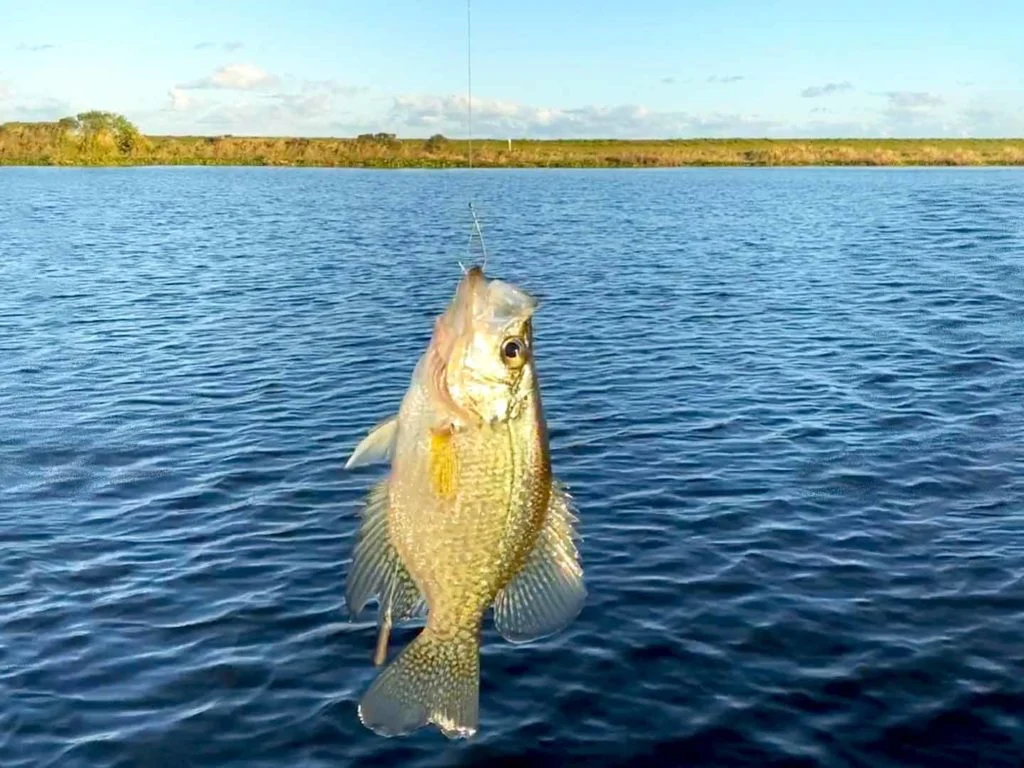Beginner's Guide to Fishing in Texas