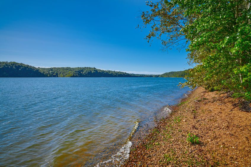 Shoreline of Kentucky Lake near Kenlake State Resort Park, Kentu