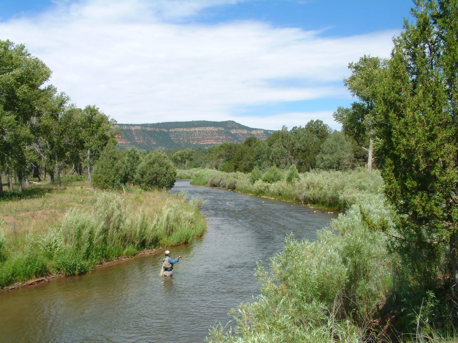 New Mexico Fishing Landscape