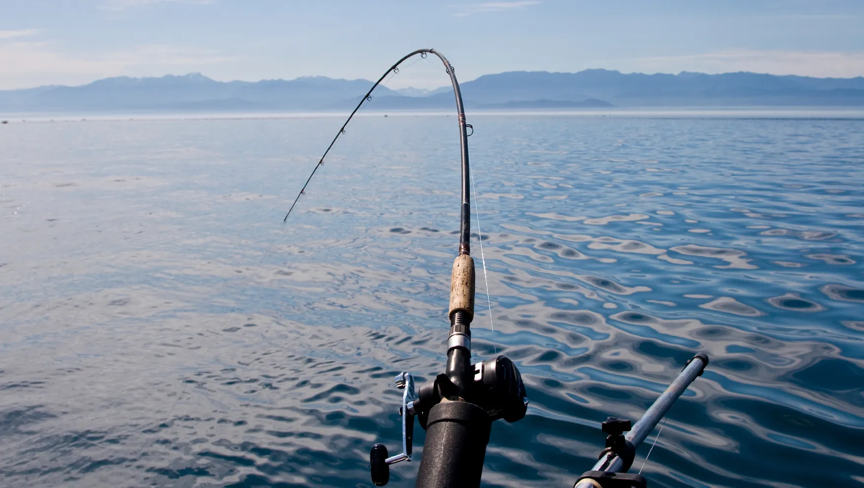 North Carolina Saltwater Recreational Fishing License