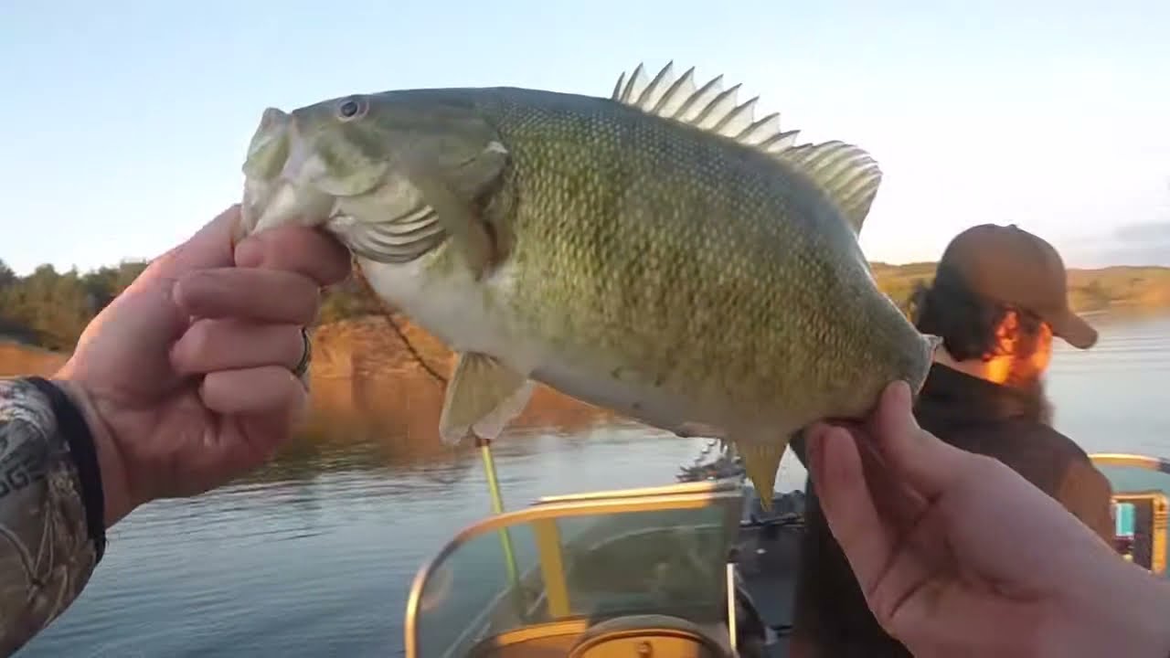 Lake Sharpe smallmouth bass fishing