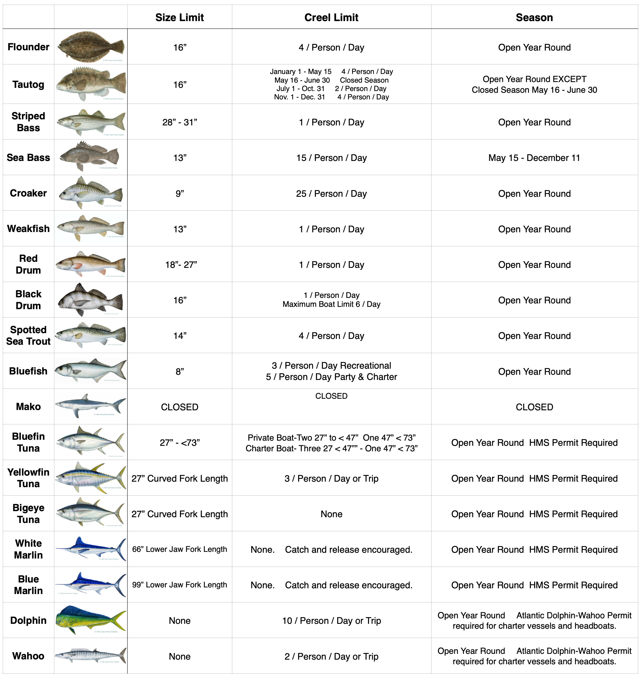 Maryland Fishing Size and Creel Limits