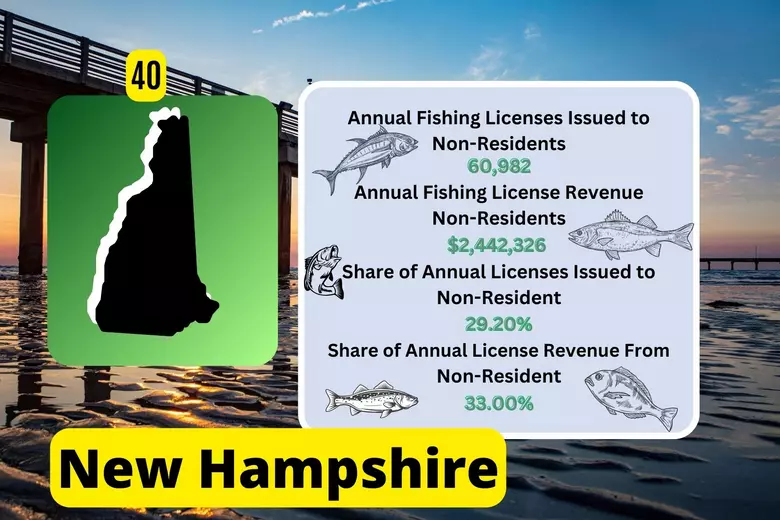 Fishing License In New Hampshire