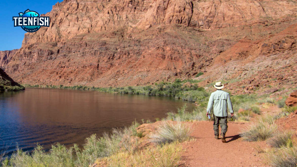 Fishing License in Arizona