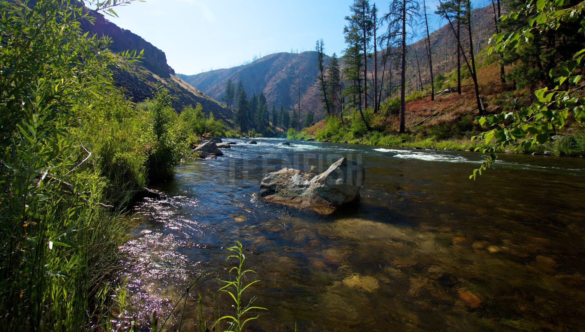 Boise River