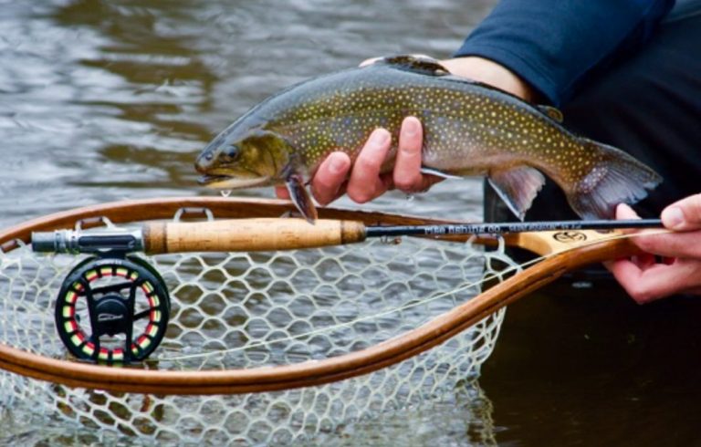 Massachusetts Fishing