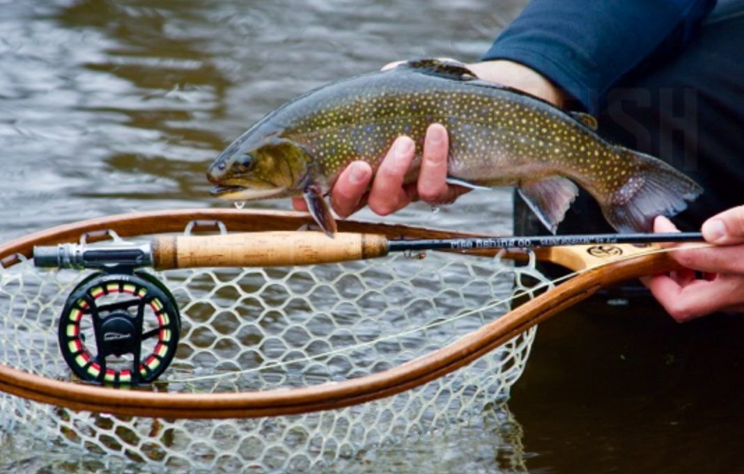 Massachusetts Fishing