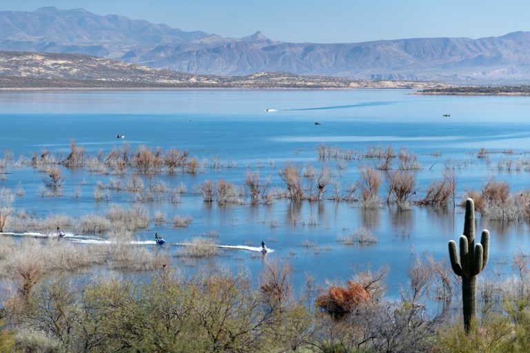 Roosevelt Lake, AZ