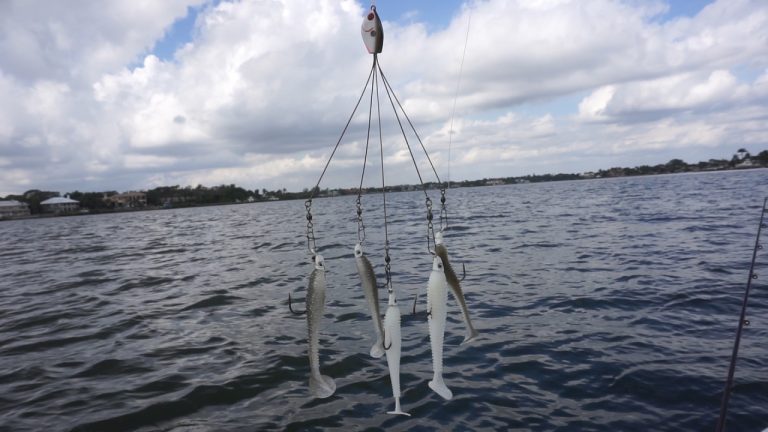 Alabama Rigs for Fishing