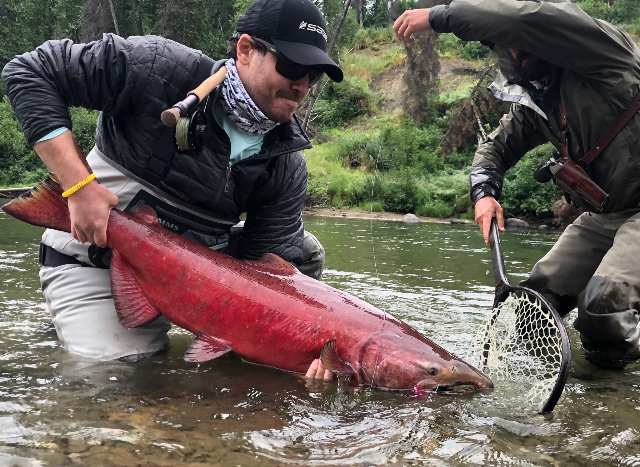 Alaska's Salmon