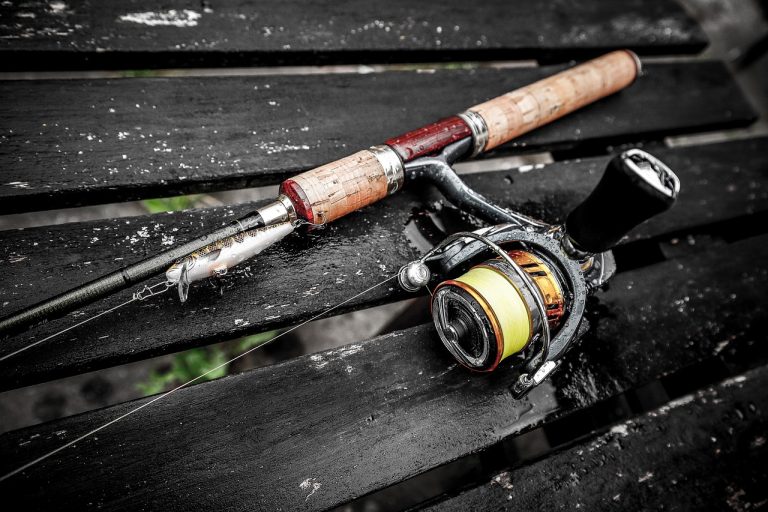 CA Fishing License