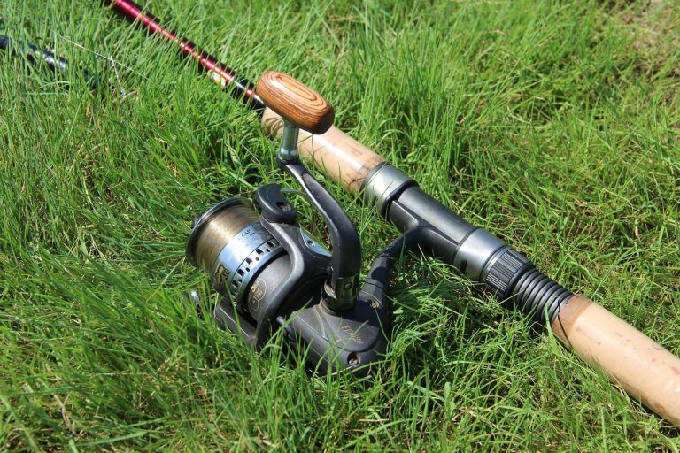 CA Fishing License Auto Renewal Guide
