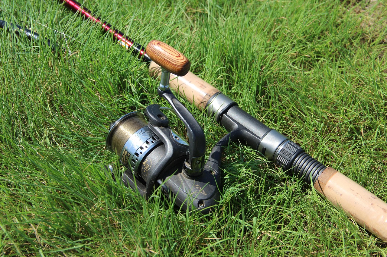 CA Fishing License Auto Renewal Guide