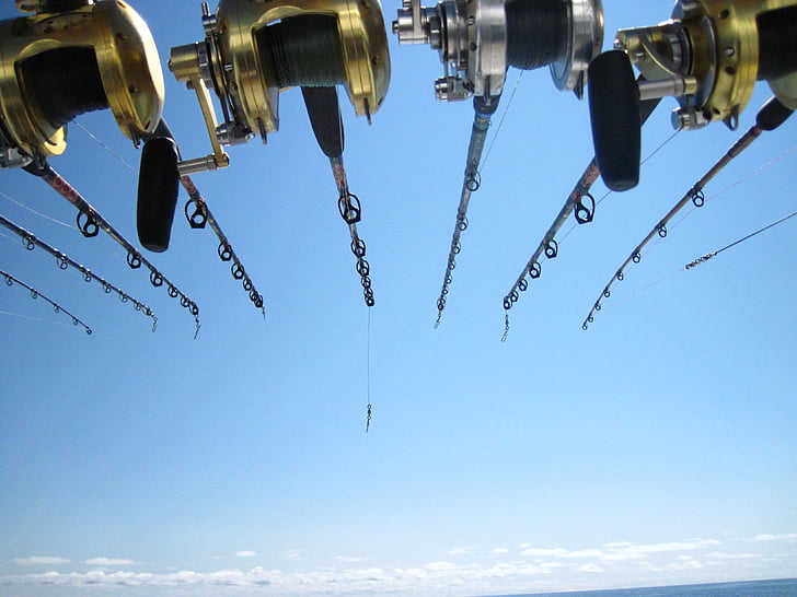 CO Digital Fishing License Guide