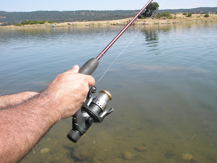 California Blockchain Fishing Licenses