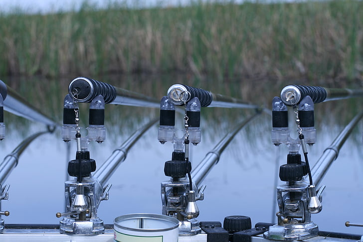 California Fishing License