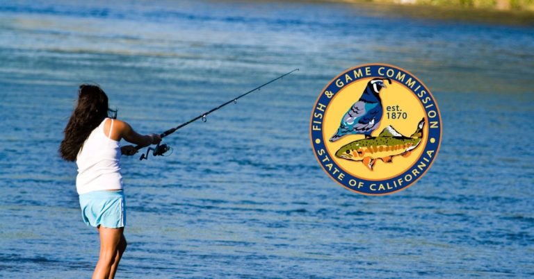 California's One Day Fishing License