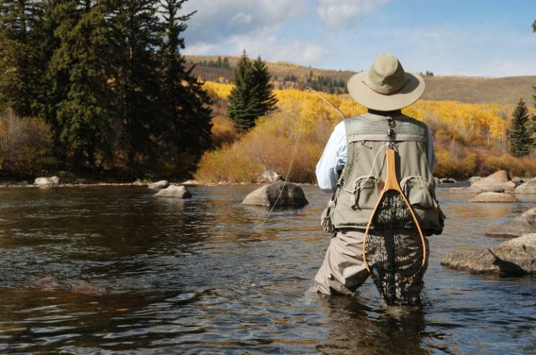 Colorado fishing licenses