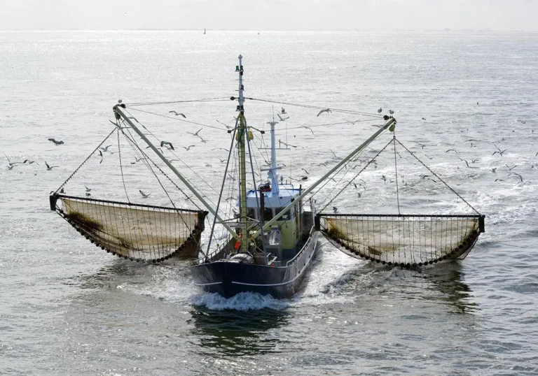 Commercial Fishing License in Alaska