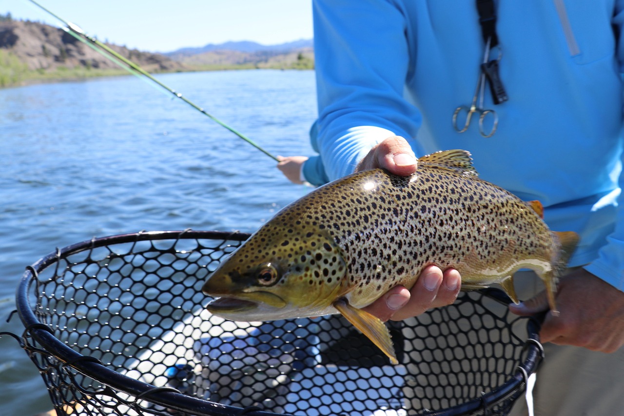 Corporate Fishing Events in Florida