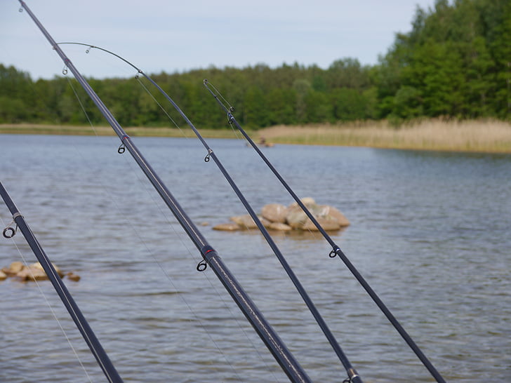 Fishing License Daytona Beach