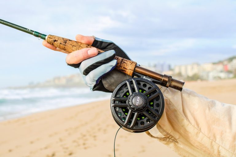 Fishing License Tucson
