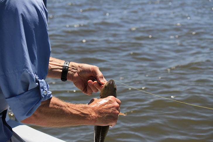 Fishing License in California