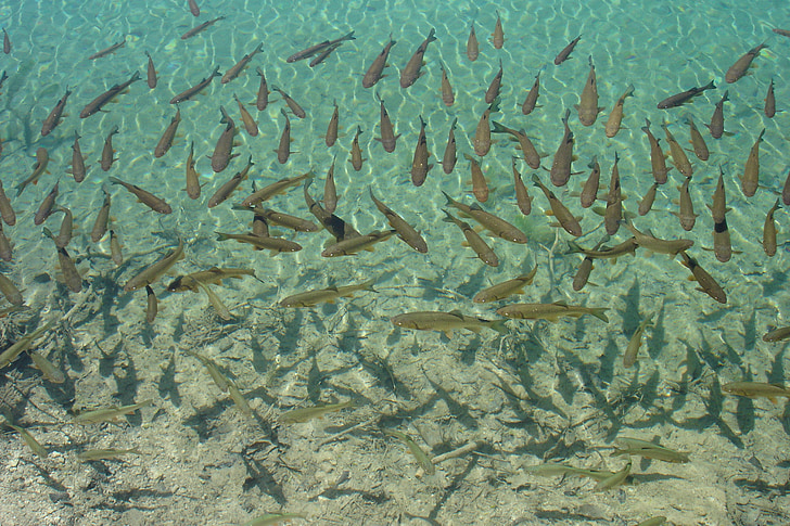 Fishing License in State Parks in Manitoba
