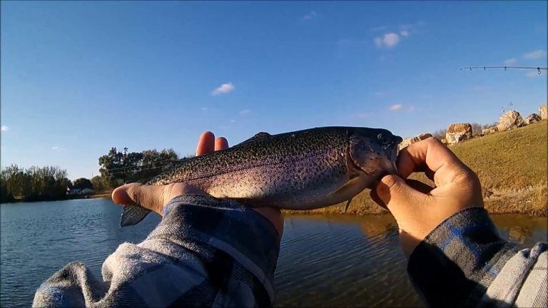 Fishing in Kansas