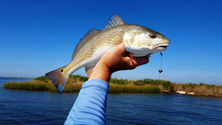 Fishing in Louisiana