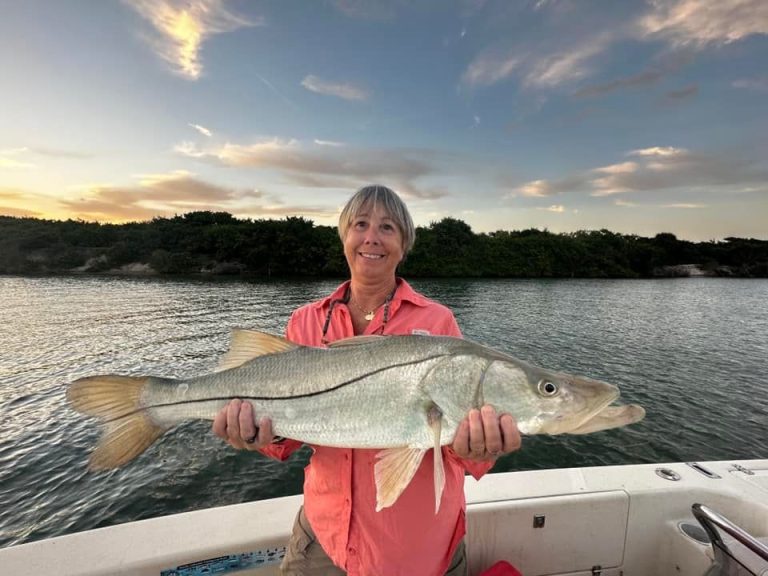 Florida Snook Season Dates