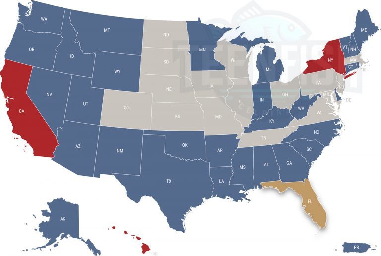 Florida's Lifetime Licenses