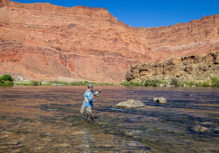 Free Fishing Days in Arizona