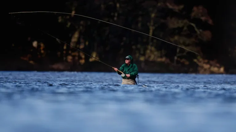 Free Fishing Days in New York