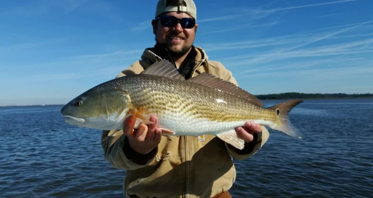 Georgia Fishing