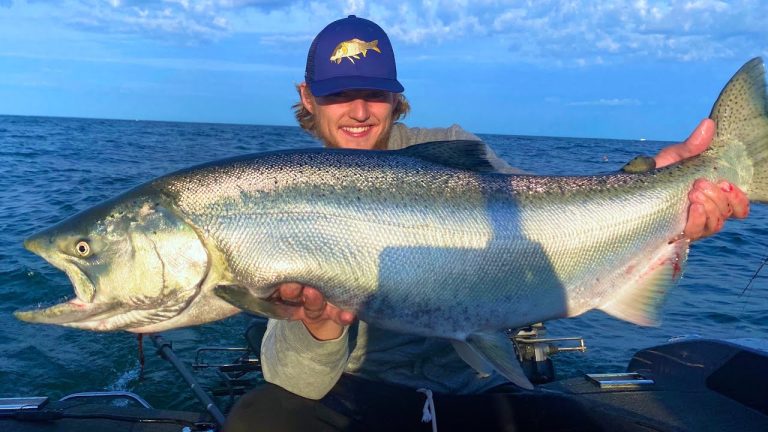 Lake Michigan Salmon Fishing