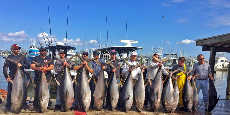 Louisiana Fishing