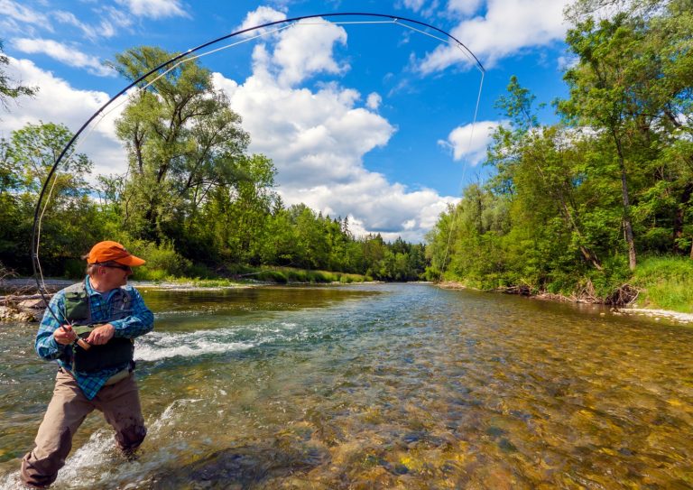 Fly fishing with success